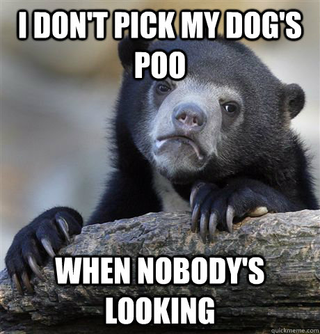 I don't pick my dog's poo  when nobody's looking  Confession Bear