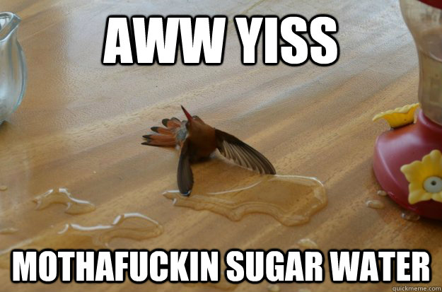 aww yiss mothafuckin sugar water - aww yiss mothafuckin sugar water  Misc