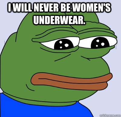 I WILL NEVER BE WOMEN'S UNDERWEAR.   FEELS BAD MAN
