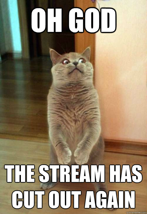 Oh God The stream has cut out again - Oh God The stream has cut out again  Horrorcat