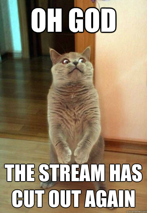Oh God The stream has cut out again  Horrorcat