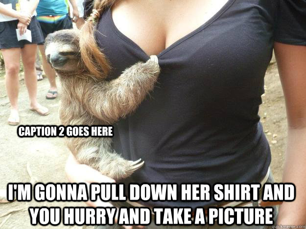 i'm gonna pull down her shirt and you hurry and take a picture  Caption 2 goes here  Sloth Manwhore
