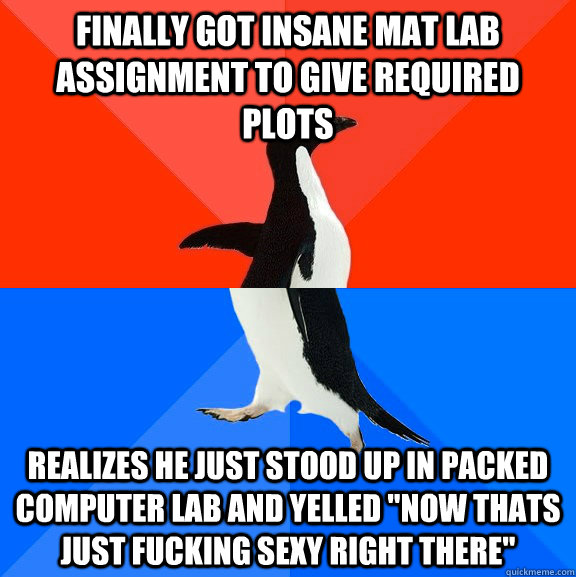 finally got insane mat lab assignment to give required plots realizes he just stood up in packed computer lab and yelled 