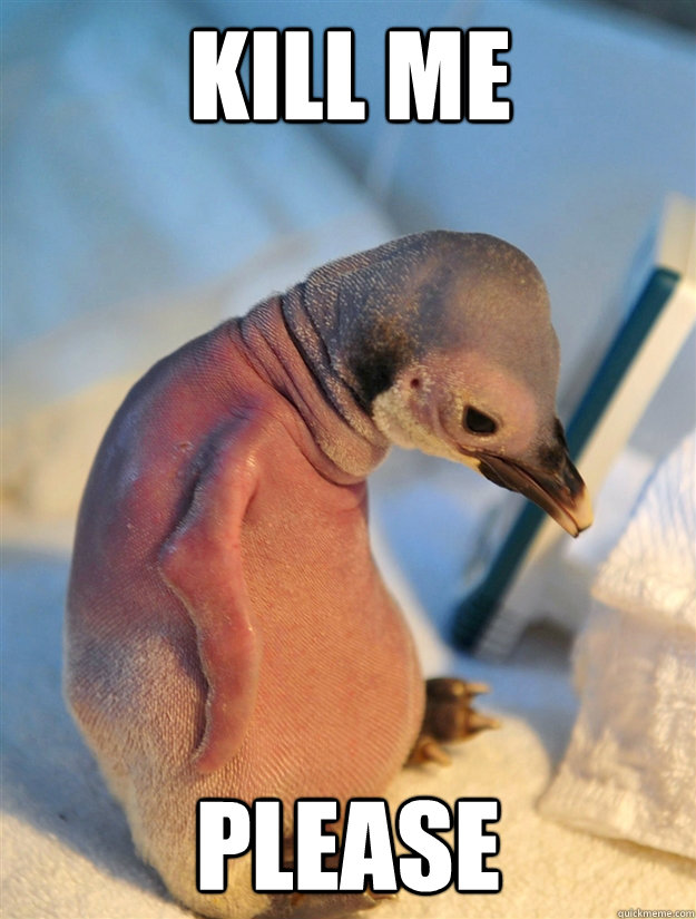 kill me please - kill me please  Socially awkward penguin gets a haircut