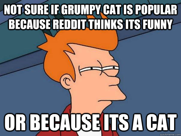 Not sure if Grumpy Cat is popular because Reddit thinks its funny or because its a cat  Futurama Fry