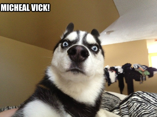   micheal vick!  