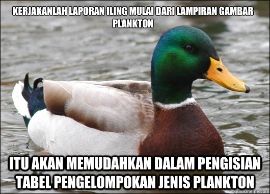 kerjakanlah laporan iling mulai dari lampiran gambar plankton itu akan memudahkan dalam pengisian tabel pengelompokan jenis plankton  Actual Advice Mallard