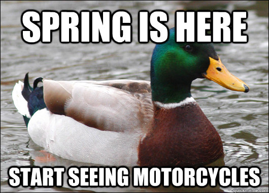 Spring is here Start seeing motorcycles  Actual Advice Mallard