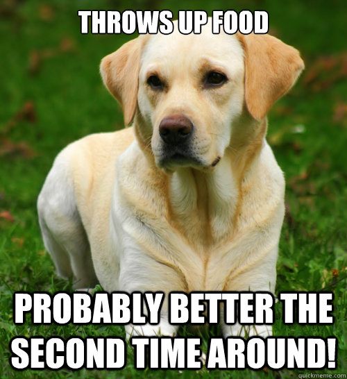 Throws up food  Probably better the second time around! - Throws up food  Probably better the second time around!  Dog Logic