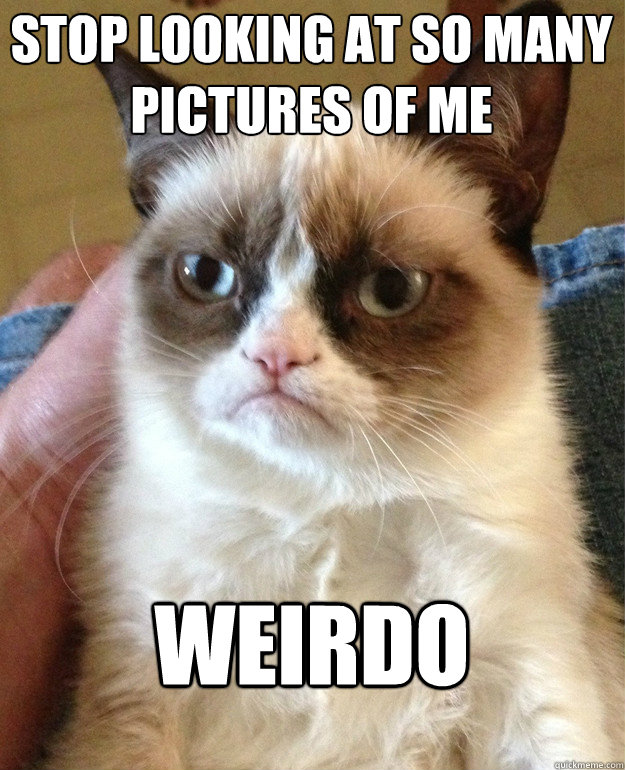 stop looking at so many pictures of me weirdo - stop looking at so many pictures of me weirdo  Grumpy Cat