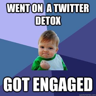 Went on  a twitter Detox Got Engaged  Success Kid