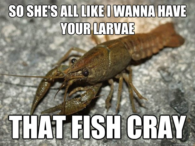 so she's all like I wanna have your larvae that fish cray  that fish cray