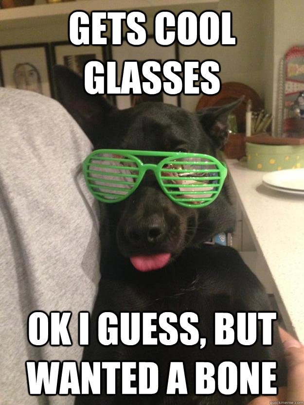 Gets cool glasses ok i guess, but wanted a bone - Gets cool glasses ok i guess, but wanted a bone  Disappointment Dog