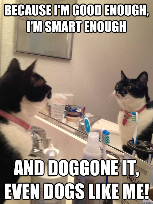 Because I'm Good Enough, I'm Smart Enough and Doggone It, Even Dogs Like Me!  Daily Affirmation Cat