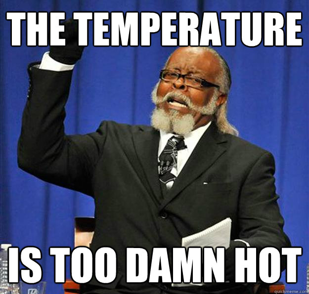 The Temperature Is too damn hot - The Temperature Is too damn hot  Jimmy McMillan