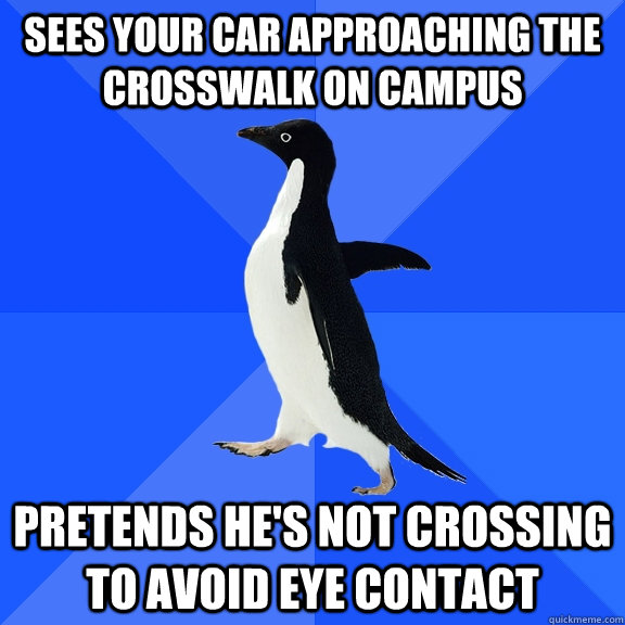 Sees your car approaching the crosswalk on campus pretends he's not crossing to avoid eye contact  Socially Awkward Penguin