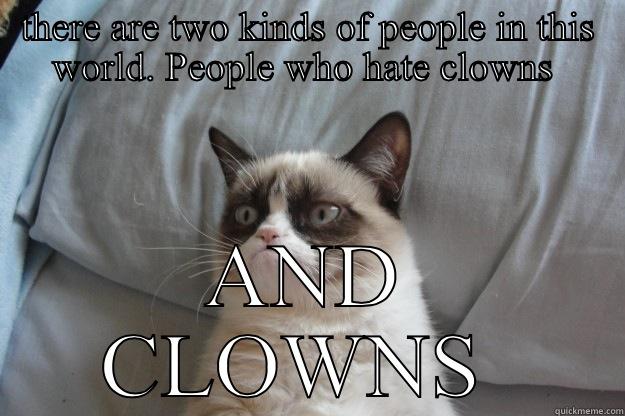 Clown meme - THERE ARE TWO KINDS OF PEOPLE IN THIS WORLD. PEOPLE WHO HATE CLOWNS  AND CLOWNS  Grumpy Cat