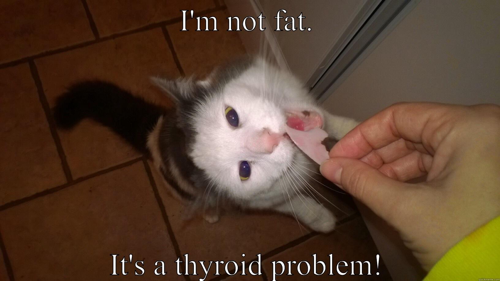 Tina, eat your ham! - I'M NOT FAT. IT'S A THYROID PROBLEM! Misc