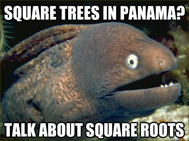 Square trees in Panama? Talk about square roots  Bad Joke Eel