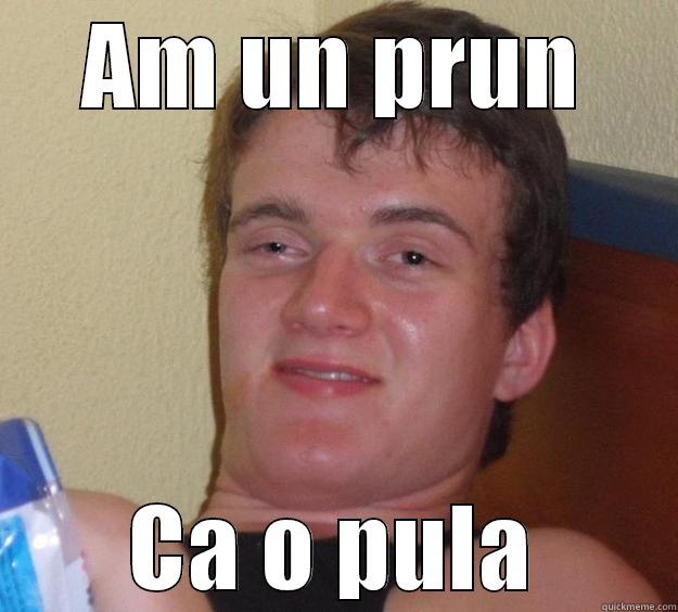AM UN PRUN CA O PULA 10 Guy