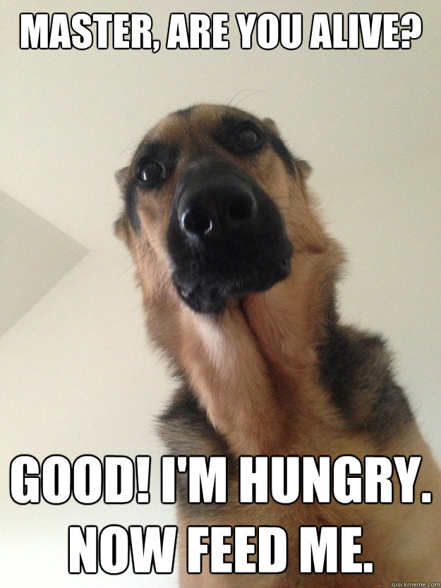 Master, ARE YOU aLIVE? Good! I'm hungry.  Now Feed me.
 - Master, ARE YOU aLIVE? Good! I'm hungry.  Now Feed me.
  Misc