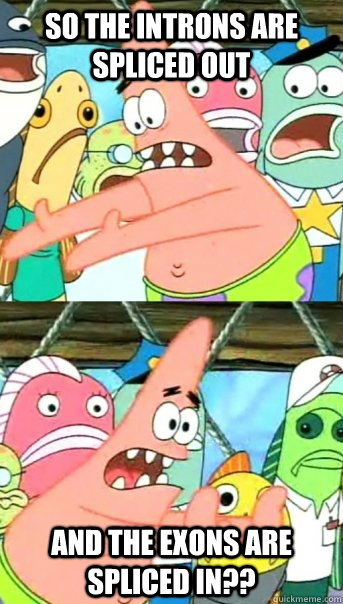 So the introns are spliced out and the exons are spliced in??  Push it somewhere else Patrick