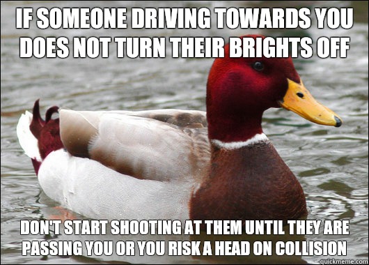 If someone driving towards you does not turn their brights off Don't start shooting at them until they are passing you or you risk a head on collision  Malicious Advice Mallard