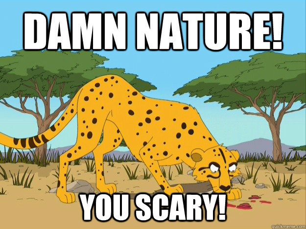 Damn nature! you scary! - Damn nature! you scary!  Damn nature