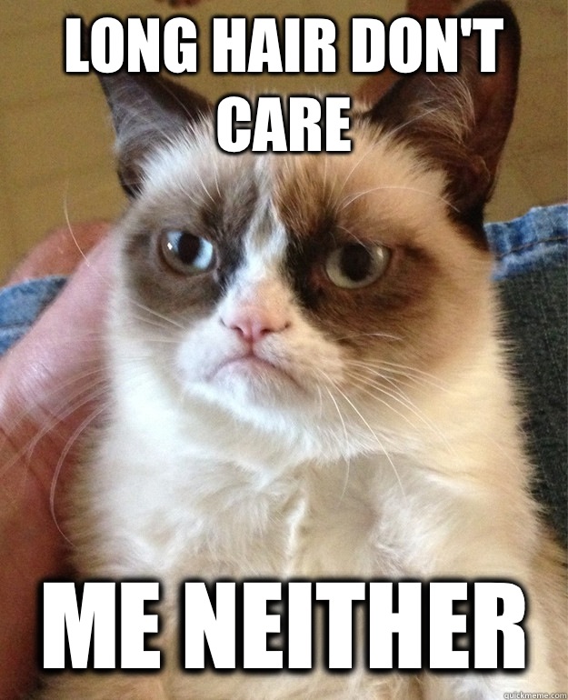Long hair don't care Me neither   Grumpy Cat