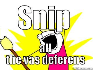 SNIP ALL THE VAS DEFERENS All The Things
