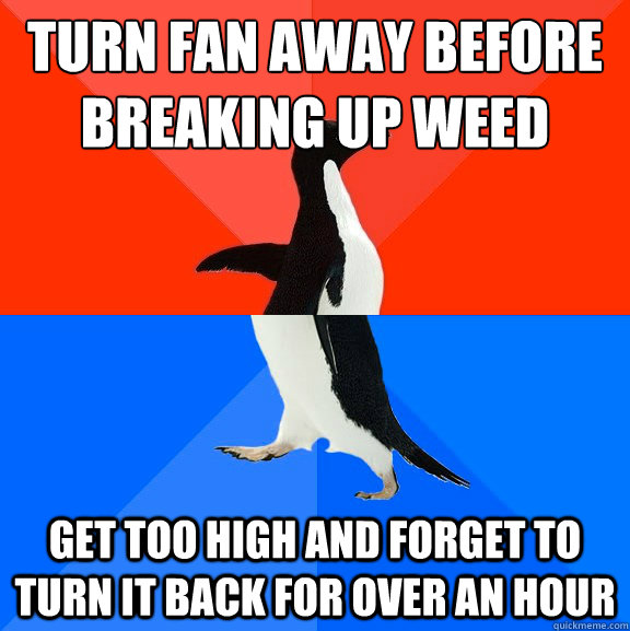 Turn fan away before breaking up weed get too high and forget to turn it back for over an hour  Socially Awesome Awkward Penguin