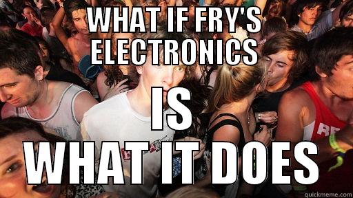 WHAT IF FRY'S ELECTRONICS IS WHAT IT DOES Sudden Clarity Clarence