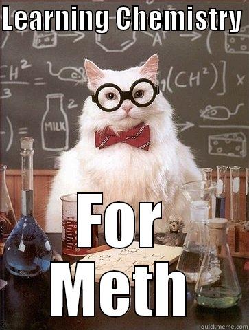 LEARNING CHEMISTRY  FOR METH Chemistry Cat