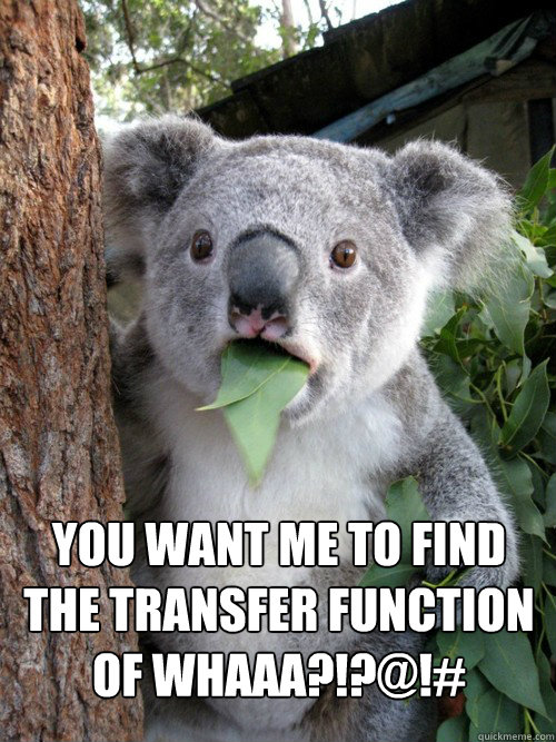  You want me to find the transfer function of whaaa?!?@!# -  You want me to find the transfer function of whaaa?!?@!#  Confounded Koala