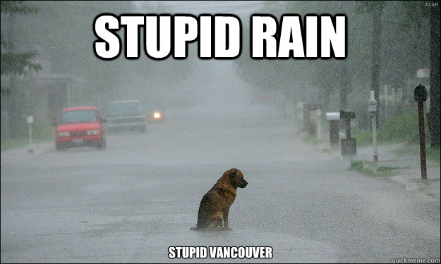 Stupid rain stupid vancouver - Stupid rain stupid vancouver  stupid vancouver dog