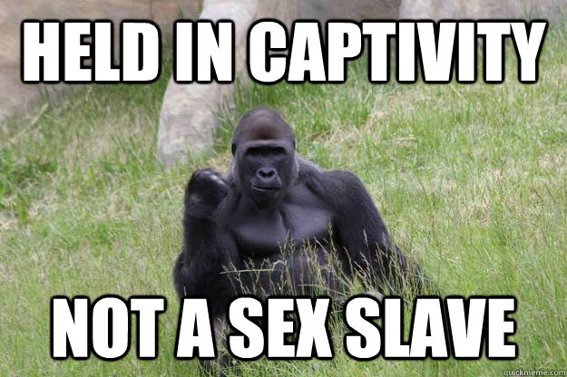 Held in captivity not a sex slave  Success Gorilla