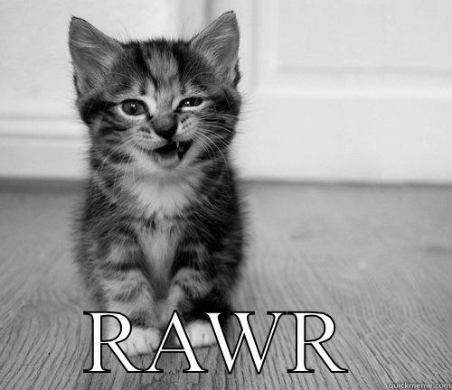 Rawr kitty -  RAWR Misc