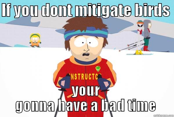 IF YOU DONT MITIGATE BIRDS  YOUR GONNA HAVE A BAD TIME Super Cool Ski Instructor