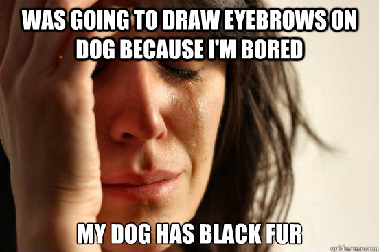 Was going to draw eyebrows on dog because I'm bored My dog has black fur   First World Problems
