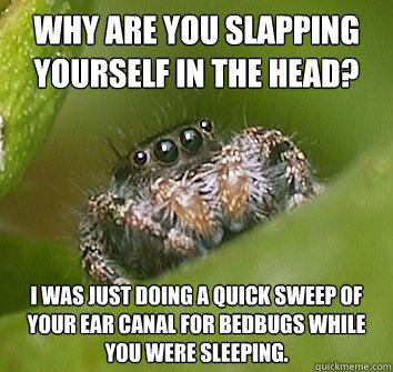 why are you slapping yourself in the head? I was just doing a quick sweep of your ear canal for bedbugs while you were sleeping.  Misunderstood Spider