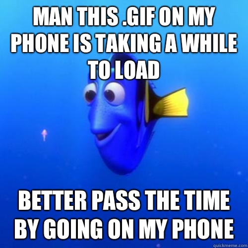 Man this .gif on my phone is taking a while to load Better pass the time by going on my phone - Man this .gif on my phone is taking a while to load Better pass the time by going on my phone  dory