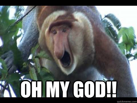  OH MY GOD!! -  OH MY GOD!!  Oh My God Monkey