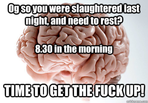 Og so you were slaughtered last night, and need to rest? TIME TO GET THE FUCK UP! 8.30 in the morning  Scumbag Brain