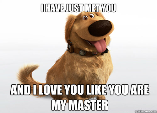 I have just met you and I love you like you are my master - I have just met you and I love you like you are my master  Overly Attached Dog