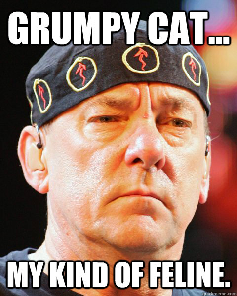 Grumpy Cat... My kind of feline. - Grumpy Cat... My kind of feline.  Neil Peart Does Not Approve