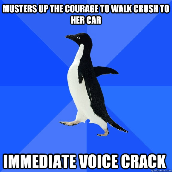 Musters up the courage to walk crush to her car immediate voice crack    Socially Awkward Penguin