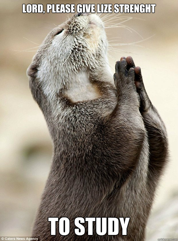 LORD, PLEASE GIVE LIZE STRENGHT TO STUDY  Please Lord