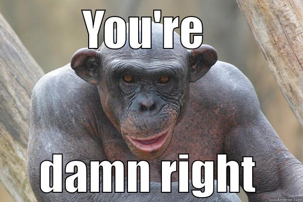 YOU'RE  DAMN RIGHT The Most Interesting Chimp In The World