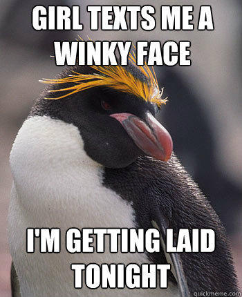 Girl texts me a winky face I'm getting laid tonight  Socially Overconfident Penguin