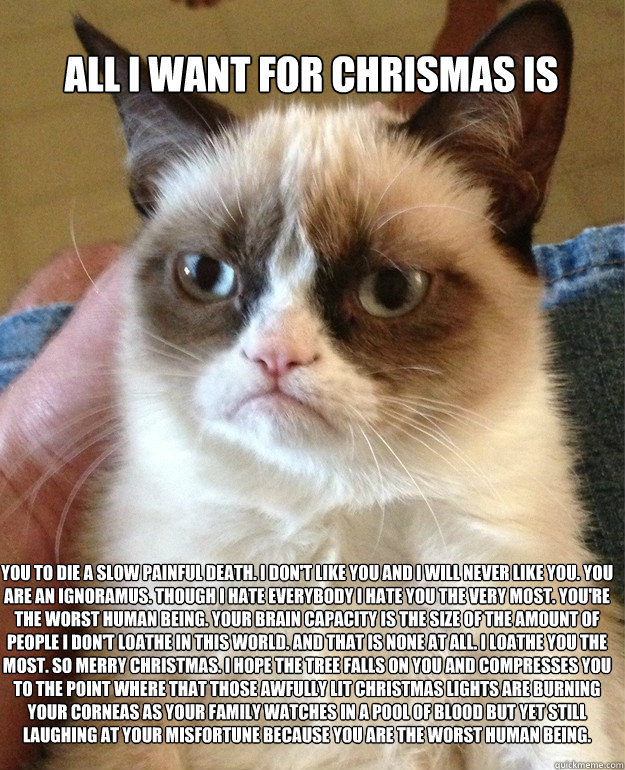 All I want for chrismas is you to die a slow painful death. i don't like you and i will never like you. you are an ignoramus. though i hate everybody i hate you the very most. you're the worst human being. your brain capacity is the size of the amount of - All I want for chrismas is you to die a slow painful death. i don't like you and i will never like you. you are an ignoramus. though i hate everybody i hate you the very most. you're the worst human being. your brain capacity is the size of the amount of Grumpy Cat